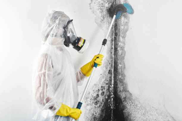 Best Airborne Mold Testing  in Cnelius, OR