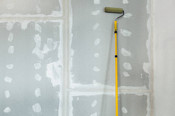 Forensic Mold Investigation in Cornelius, OR