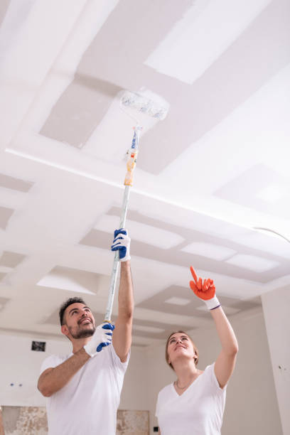 Best Residential Mold Inspection & Testing  in Cnelius, OR
