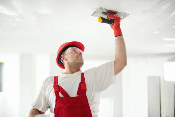 Professional Mold Removal in Cornelius, OR