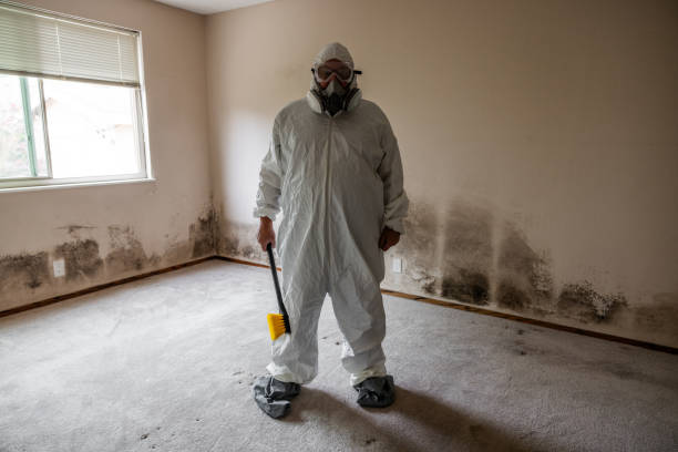 Best Industrial Mold Remediation  in Cnelius, OR